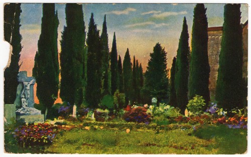 Aquileia fra i cipressi - -,