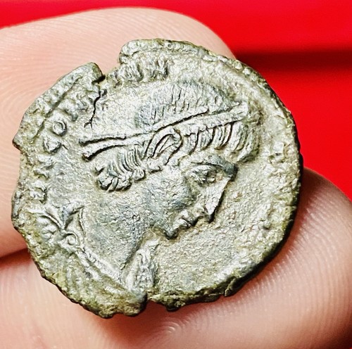 Constantius majorina - constantius,