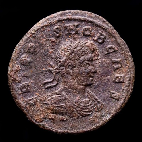 Lucernae crispus follis - *lucernae*,