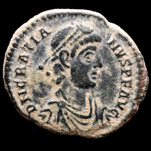 Lucernae gratian maiorina - *lucernae*,